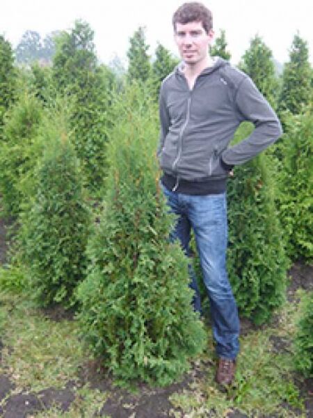 Thuja occidentalis 'Columna' / Säulen-Lebensbaum 'Columna', Solitär im Feld, säulenförmiger Wuchs, ca. 140–160 cm, m. B.