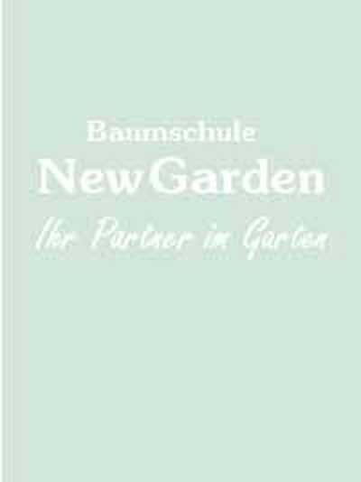 Kletterrose 'Salma Es-Said' ® / Kletterrose 'Salma Es-Said' ®