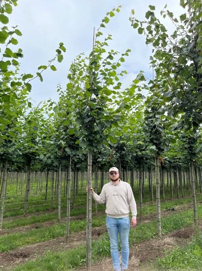 Kaiser-Linde / Kaiser-Linde