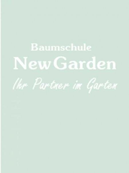 Echter Feigenbaum / Feige / Echter Feigenbaum / Feige