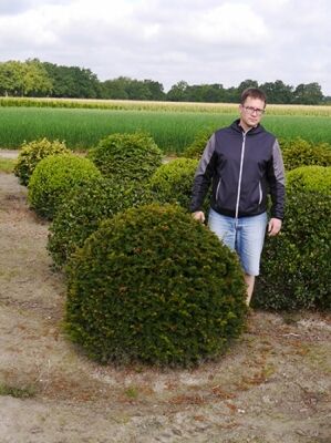 fagus holzfahrzeuge Fagus mini Holzauto LKW main image 1